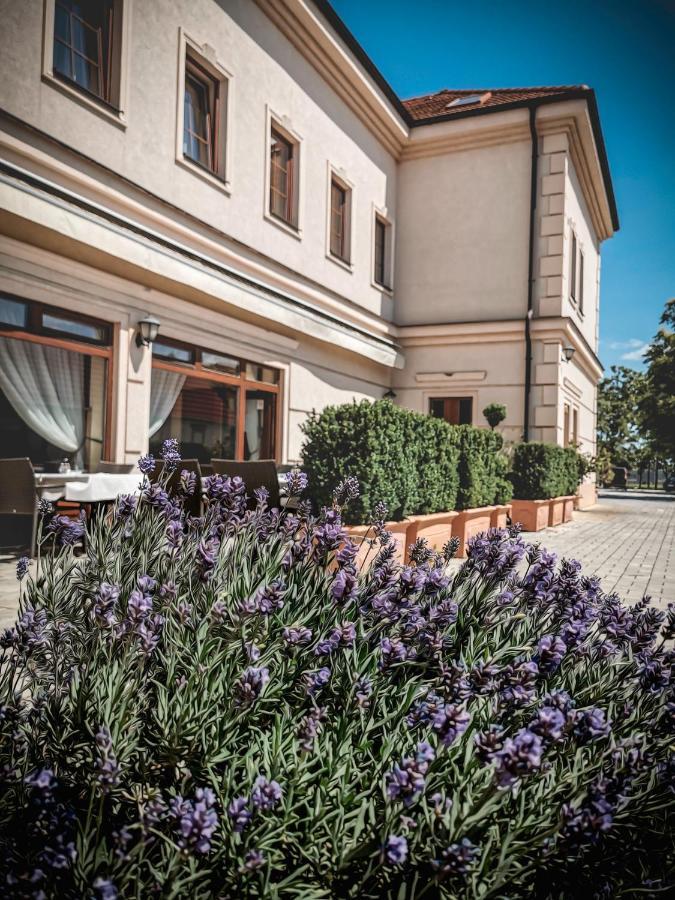 Restaurant Pansion Wien Cierny Brod Экстерьер фото