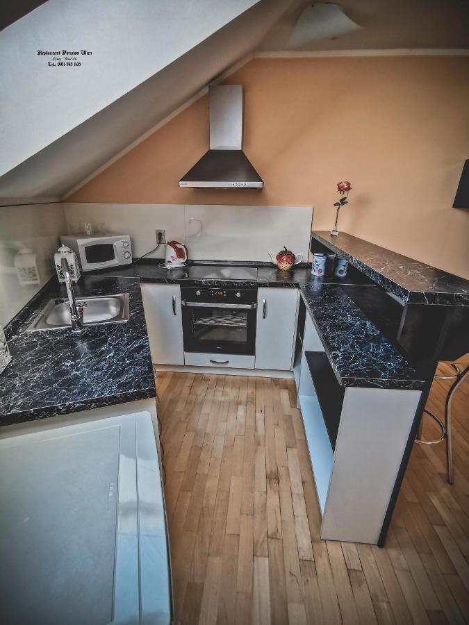 Restaurant Pansion Wien Cierny Brod Экстерьер фото