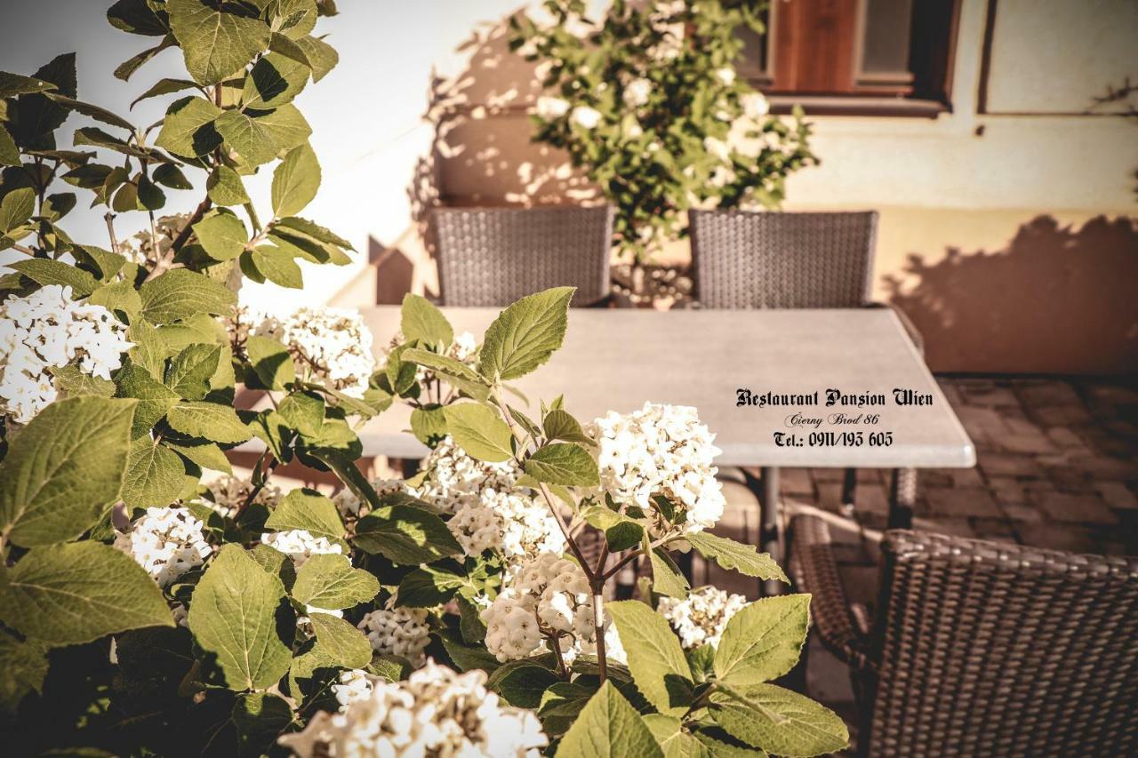 Restaurant Pansion Wien Cierny Brod Экстерьер фото